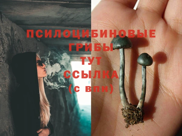 мескалин Лысково