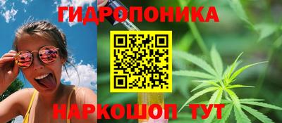 винт Гусь-Хрустальный