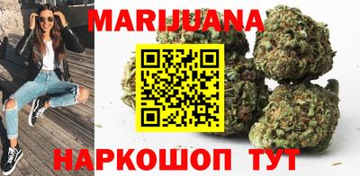 сатива Гусев