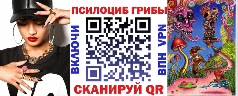 где купить наркоту  Михайловка  Галлюциногенные грибы GOLDEN TEACHER 