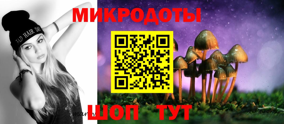 Псилоцибиновые грибы прущие грибы Михайловка