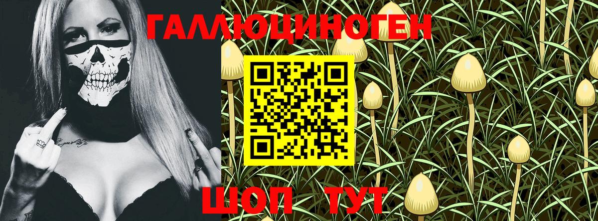 Галлюциногенные грибы мицелий  Михайловка 